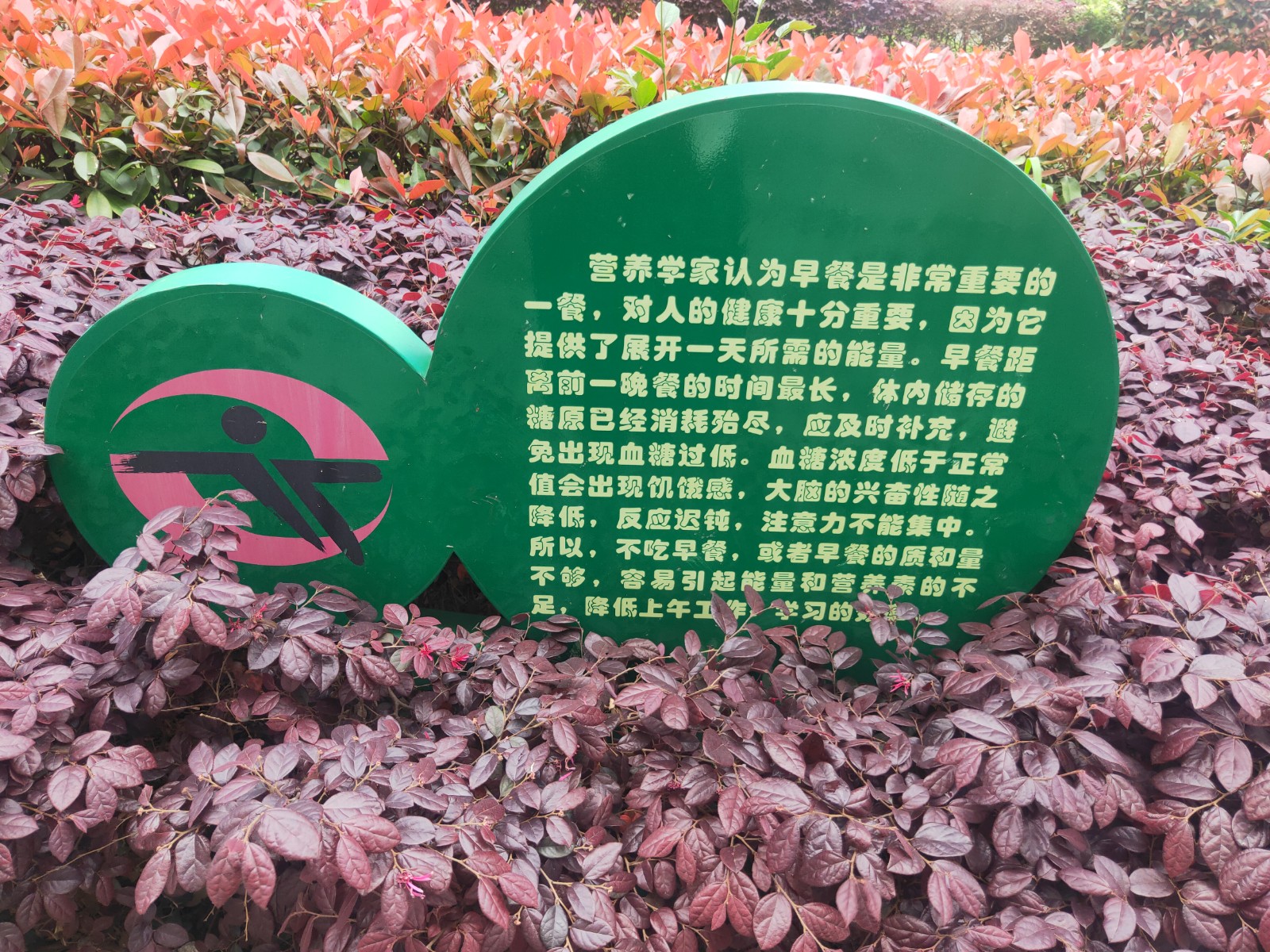 营养.jpg