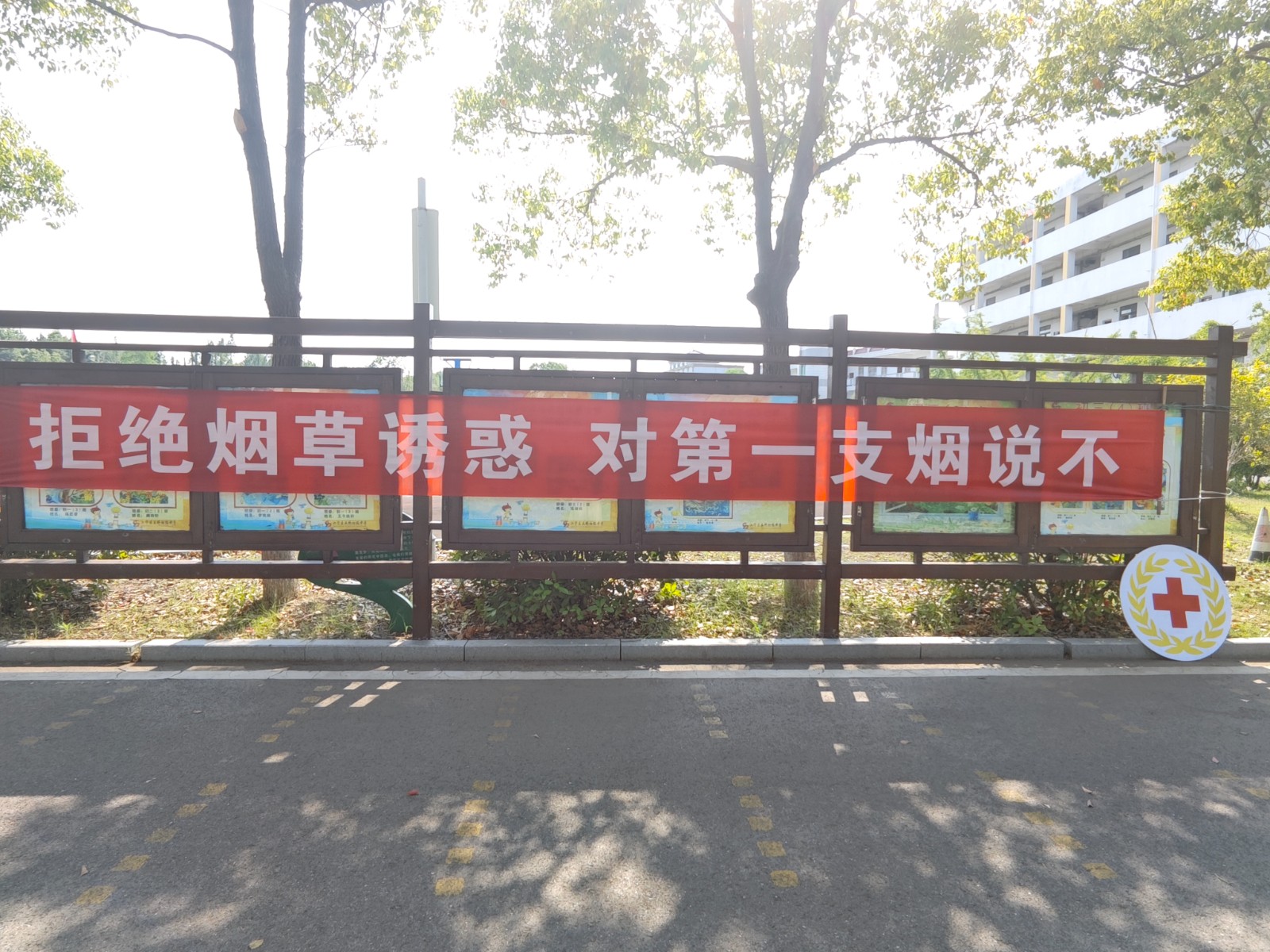 南京市江宁区土桥初级中学红会开展世界无烟日宣传活动3.jpg